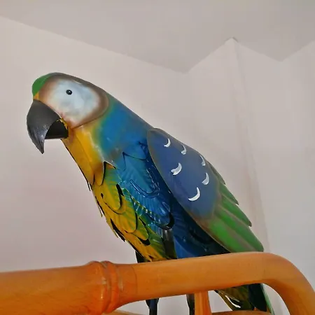 Wonder 2* Нерха